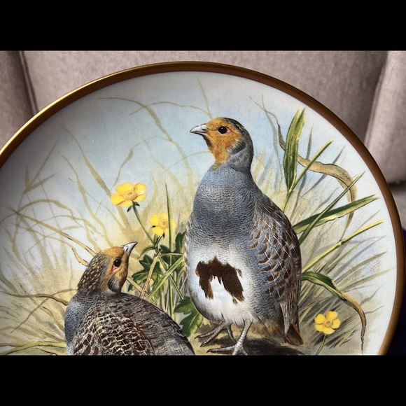 Gamebirds of the World Franklin Porcelain Basil Ede COMMON PARTRIDGE Deco Plate - Picture 3 of 9